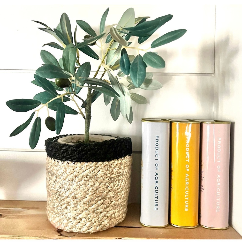 Gatehouse Small Olive Tree in Grass Woven Basket